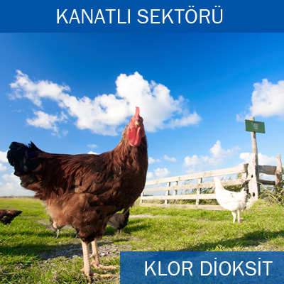 tavuk-iftlii-klor-dioksit